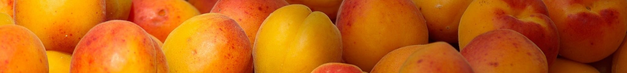 fruit-808337_1920-min fruit-808337_1920-min