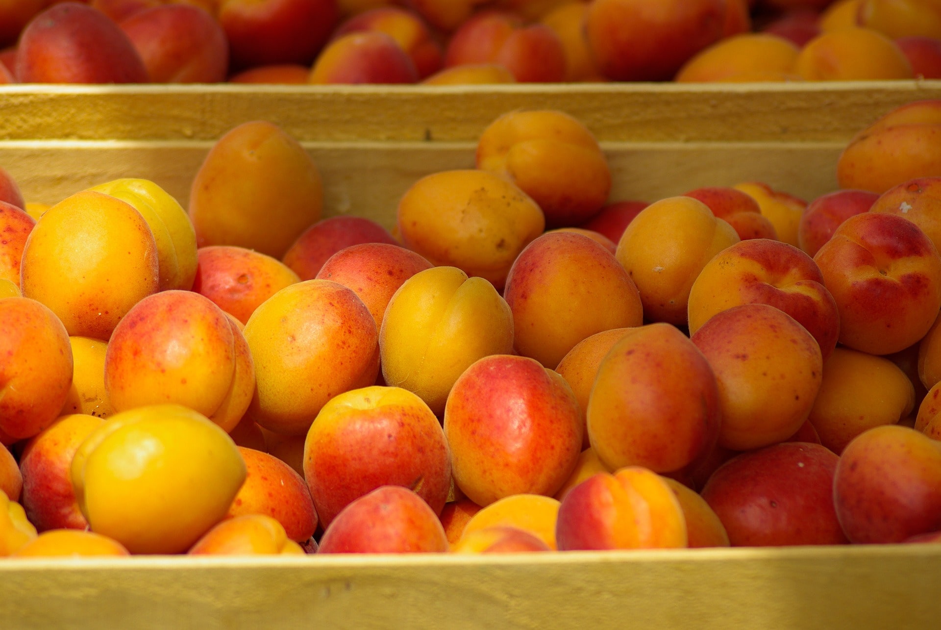 fruit-808337_1920-min fruit-808337_1920-min